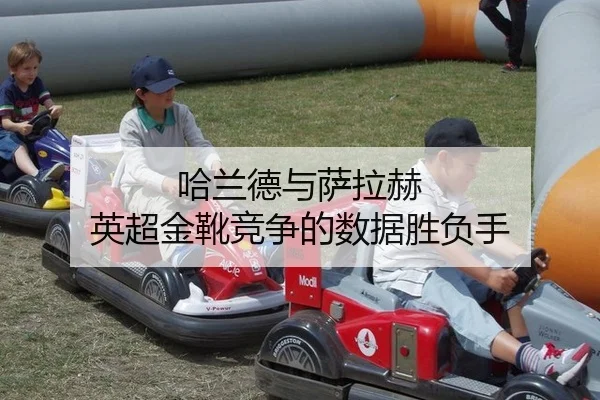 ha-lan-de-yu-sa-la-he-ying-chao-jin-xue-jing-zheng-de-shu-ju-sheng-fu-shou-2-331.jpg