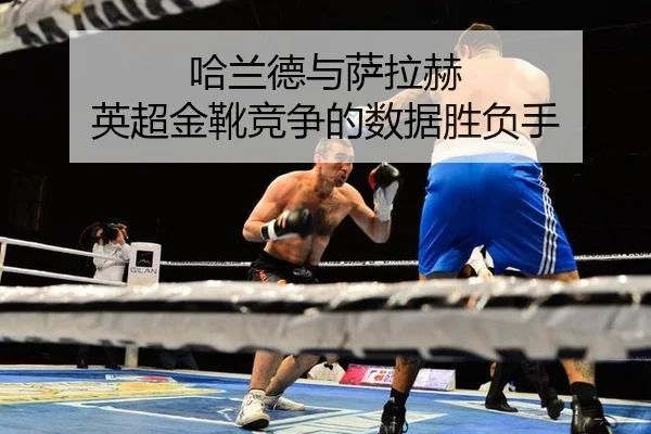 ha-lan-de-yu-sa-la-he-ying-chao-jin-xue-jing-zheng-de-shu-ju-sheng-fu-shou-3-601.jpg